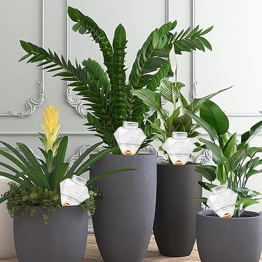 Watering Globes XL - 6 Pcs Diamond Plastic Shape Plant Watering Globes Self Watering Planter Insert 17oz Large for Indoor&Outdoor Plants Watering Bulbs