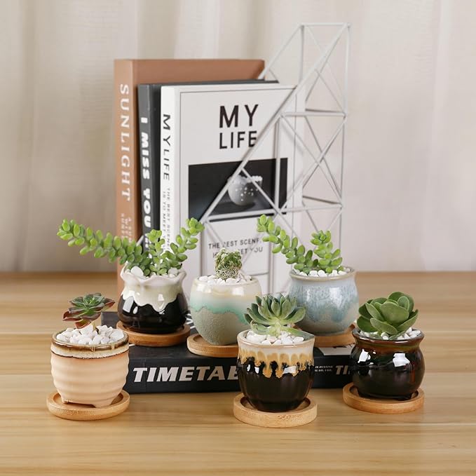 T4U Small Ceramic Succulent Pots with Drainage Set of 12, Mini Pots for Plants, Succulent Plant Gifts for Women, Tiny Air Plant Flower Pots Cactus Faux Plants Containers, Home and Office Decor
