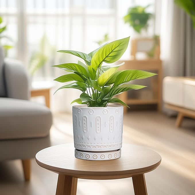 Pot for Plants 6 Inch - Ceramic Planter for Indoor Plants Decorative Plant Pot with Drainage Holes and Saucer Outdoor Flower Pot Modern Succulent Pot for Office Desk Decor White