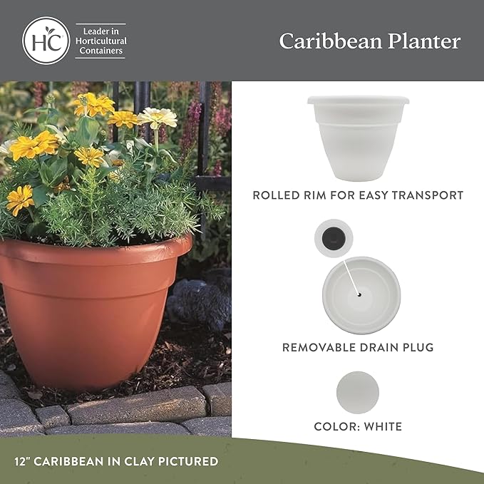 The HC Companies Caribbean Planter Pot - Outdoor & Indoor Plant Pot with Drainage Hole & Plug - Rolled Rim Plastic Pots for Plants & Flowers - Decorative Plant Pot (10" White, Pack of 2)