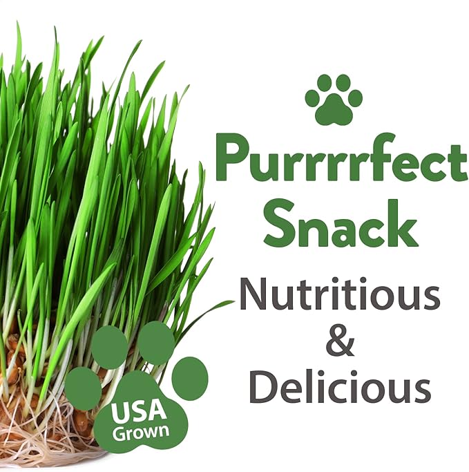HOME GROWN 3200+ Cat Grass β π‘π’π‘-ππ π’ π¨π¦π Grown Catnip, Alfalfa, Oat, Cat Grass Mix β Indoor Cat Grass Kit Refill β High-Germination Pet Grass for Hairball Relief & Digestion