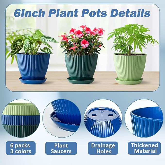 6 Pack Plant Pots with Drainage Holes and Saucers 6 Inch Plastic Planter with 3 Colors Indoor and Outdoor Flower Pots