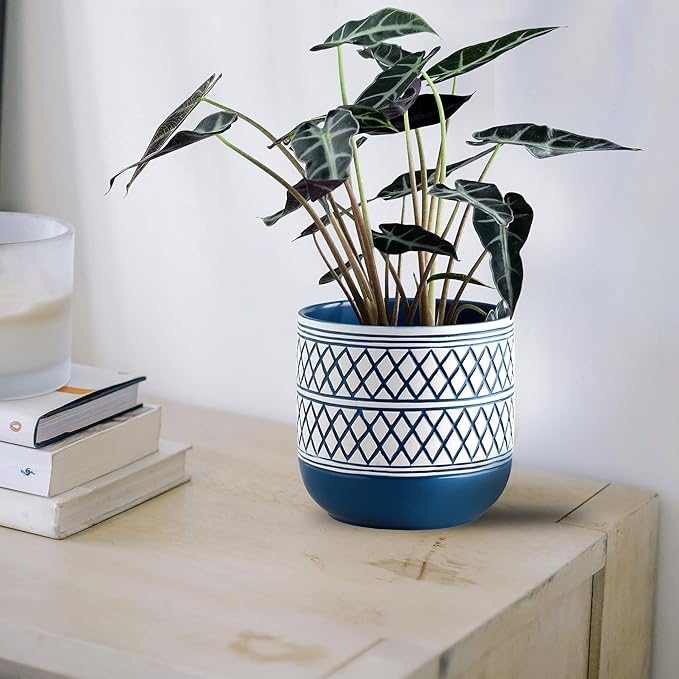 Ceramic Plant Pots, 6 + 4.7 inch Blue Plant Pot, Flower Pots for Indoor Plants, Planter with Drainage Hole for Succulent Orchid Snake Plants Cactus
