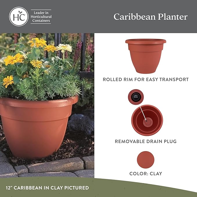 The HC Companies Caribbean Planter Pot - Outdoor & Indoor Plant Pot with Drainage Hole & Plug - Rolled Rim Plastic Pots for Plants & Flowers - Decorative Plant Pot (6" Clay, Pack of 4)