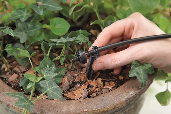 Raindrip R560DP Automatic Drip Irrigation Watering Kit with Customizable Timer for Containers and Hanging Baskets, Waters up to 20 Plants, Includes 20 PC Drippers, Black