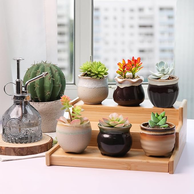 T4U Small Ceramic Succulent Pots with Drainage Set of 6, Mini Pots for Plants, Plant Lover Gifts for Women, Tiny Air Plant Flower Pots Cactus Faux Plants Containers, Home and Office Decor