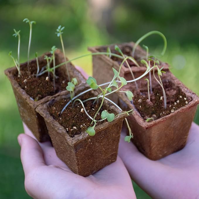 Seed Starting Soil Mix 10qt, Seed Starter Seedling Soil Ready to Use Suitable for Vegetable, Flower, Houseplant and Bonsai