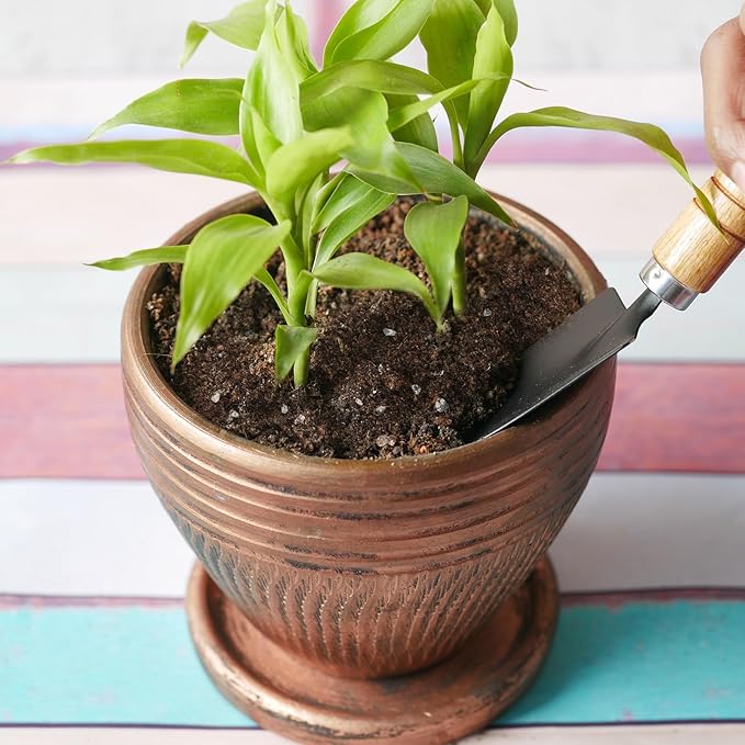 Premium Lucky bamboo Soil Mix 4qt, Indoor Plants Potting Mix for All Potted Luncky bamboo, Promote Healthy Growth and Longevity