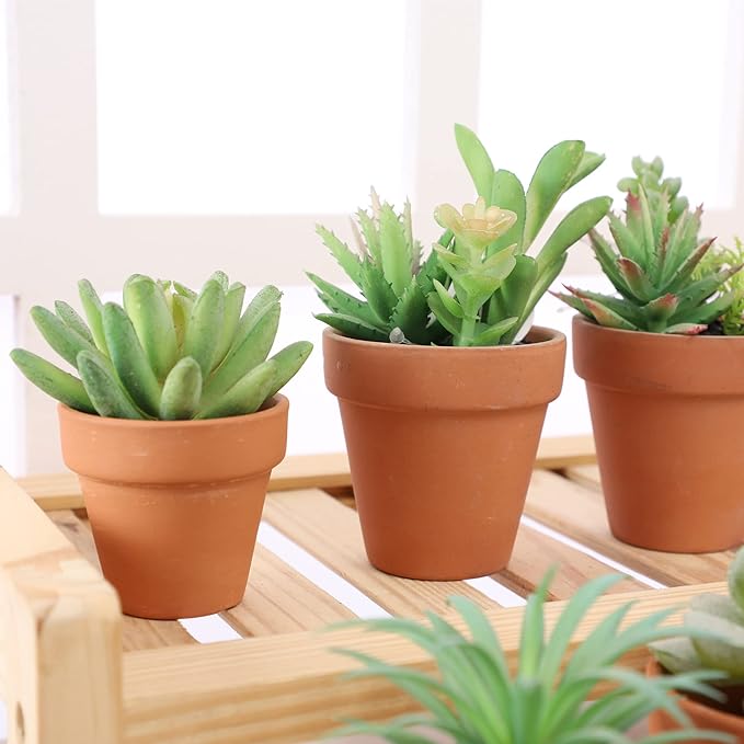 Yishang 2 inch Small Terracotta Pots with Drainage Holes,Mini Clay Ceramic Pottery Planter,Cactus Flower Nursery Terra Cotta Pots, for Indoor/Outdoor Succulent Plants, Crafts, Wedding Favor(80 Pack)