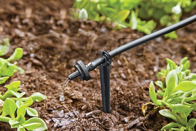 Raindrip R560DP Automatic Drip Irrigation Watering Kit with Customizable Timer for Containers and Hanging Baskets, Waters up to 20 Plants, Includes 20 PC Drippers, Black