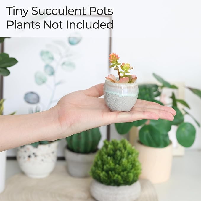 T4U Small Ceramic Succulent Pots with Drainage Set of 6, Mini Pots for Plants, Plant Lover Gifts for Women, Tiny Air Plant Flower Pots Cactus Faux Plants Containers, Home and Office Decor