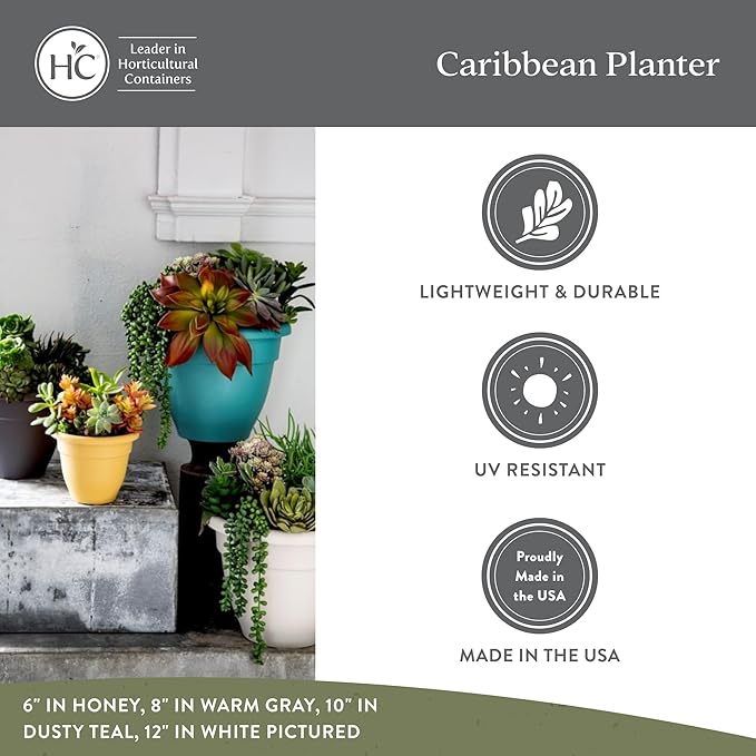The HC Companies Caribbean Planter Pot - Outdoor & Indoor Plant Pot with Drainage Hole & Plug - Rolled Rim Plastic Pots for Plants & Flowers - Decorative Plant Pot (10" Black, Pack of 2)