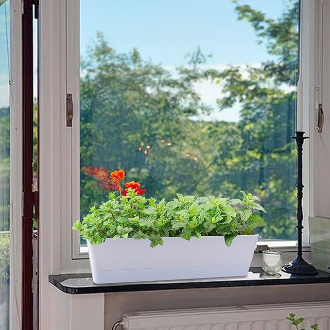 GREANER Long Window Boxes Planters, 6 Pack 16x3.8 Inch Vegetable Box Pot with Tray, Indoor Succulent Cactus Flowers Plastic Rectangle Pot for Balcony, Office, Garden, Outdoor, Windowsill - White