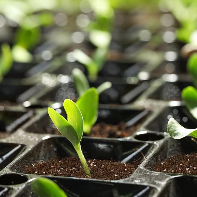 Seed Starting Soil Mix 10qt, Seed Starter Seedling Soil Ready to Use Suitable for Vegetable, Flower, Houseplant and Bonsai
