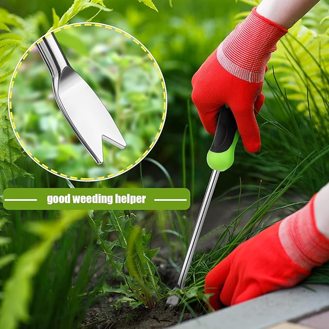 Hand Weeder Tool Garden Weeding Tool Gardening Weeder Tool with Ergonomic Handle, Stainless Steel Garden Lawn Farmland Transplant Gardening Plant Tool(2 Pronged Fork, 2 Pieces)