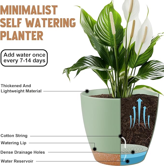 Plant Pots 8/7/6.5/6/5.5/5 Inch Self Watering Pots, Set of 6 Plastic Planters with Drainage Holes and Saucers,Plastic Flower Pots,Nursery Planting Pot for Indoor Out Door Plants(Green)
