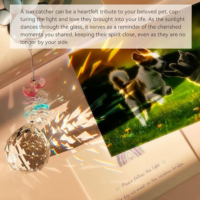 Pet Memorial Suncatcher - Dog Paw Memorial Gifts, Pet Loss Crystal Prisms Rainbow Maker, Lost of Dog Bereavement Gift Idea, Thoughtful Dogs and Cats Remembrance Sun Catcher, Pet Sympathy Gifts