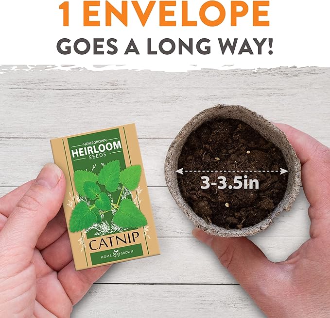 HOME GROWN 3200+ Cat Grass β π‘π’π‘-ππ π’ π¨π¦π Grown Catnip, Alfalfa, Oat, Cat Grass Mix β Indoor Cat Grass Kit Refill β High-Germination Pet Grass for Hairball Relief & Digestion