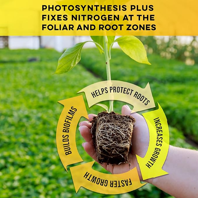 Microbe Life Hydroponics Premium Photosynthesis Plus to Grow Fruits, Vegetables, and Herbs, The Best Professional Big Bud Grow, Use with Any Feeding Systems Including Hydroponics or Soil, 5 Gallons