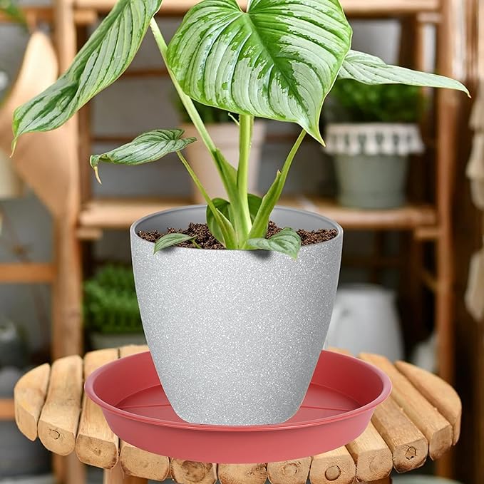 6 Pack of Plant Saucer Tray 11 12 inch, Heavy Duty Plastic Pot Plant Drip Trays Saucers for for Indoors Outdoor, Plant Water Tray for Planters 11-12" (12", Clay)