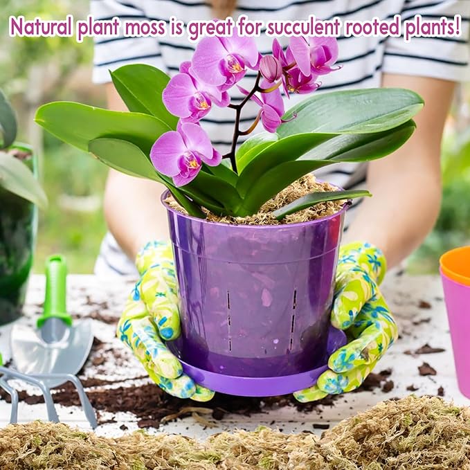 Riare 1.1 LBS Premium Sphagnum Moss- Natural Long Fibered Sphagnum Peat Moss Plants Moss Dried, Carnivorous Plants Moss Orchid Potting Mix for Orchids, Succulent, Reptiles (20QT)