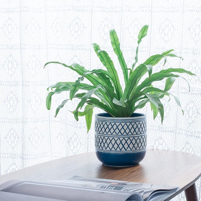Ceramic Plant Pots, 6 + 4.7 inch Blue Plant Pot, Flower Pots for Indoor Plants, Planter with Drainage Hole for Succulent Orchid Snake Plants Cactus