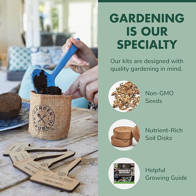 Cactus Succulent Seed Starter Kit - Indoor Garden Grow Kits, Seeds for Planting Mini Cactus Succulent Plants, Plant Markers, Soil, Pots, Wood Box - Fathers Day Gardening Gifts