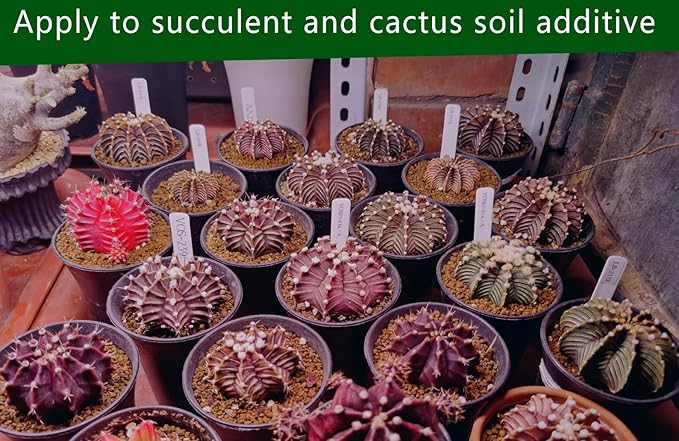 Horticultural Akadama Soil - Cactus Bonsai Succulent Soil Additive for Plants, Landscaping, Vase Fillers (18 LB, 1/4 inch)