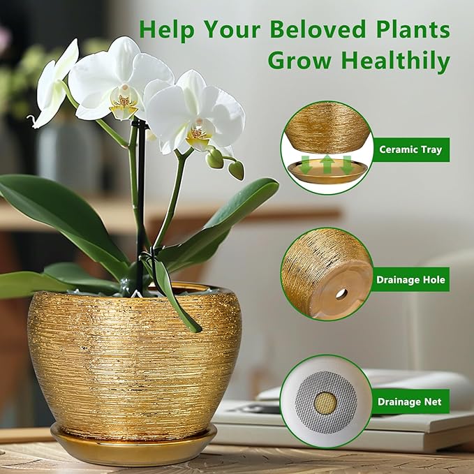 Indoor Plant Pot 6 Inch - Ceramic Pot for Plants Outdoor Planter with Drainage Hole and Saucer Round Decorative Planter Modern Flower Pot for Home Decor Gold