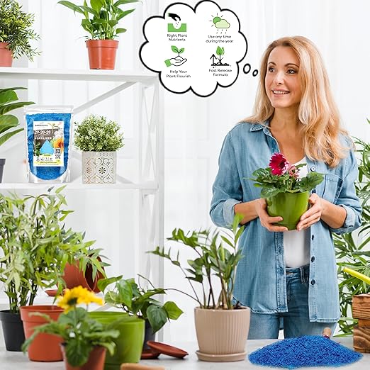 20-20-20 Water-Soluble Fertilizer β Powder for Liquid Plant Food for Indoor & Outdoor Plants, Orchids, Vegetables, Lawns, Flowers β 20 20 20 Fertilizer (1/2 Quart)