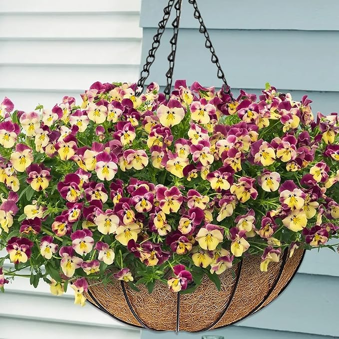ZeeDix 3 Pack 16 Inch Metal Round Hanging Planter Basket with Coconut Liners Replacement, Hanging planters Baskets with Natural Coco Liner for Outdoor Indoor Planters Flowers Vegetables