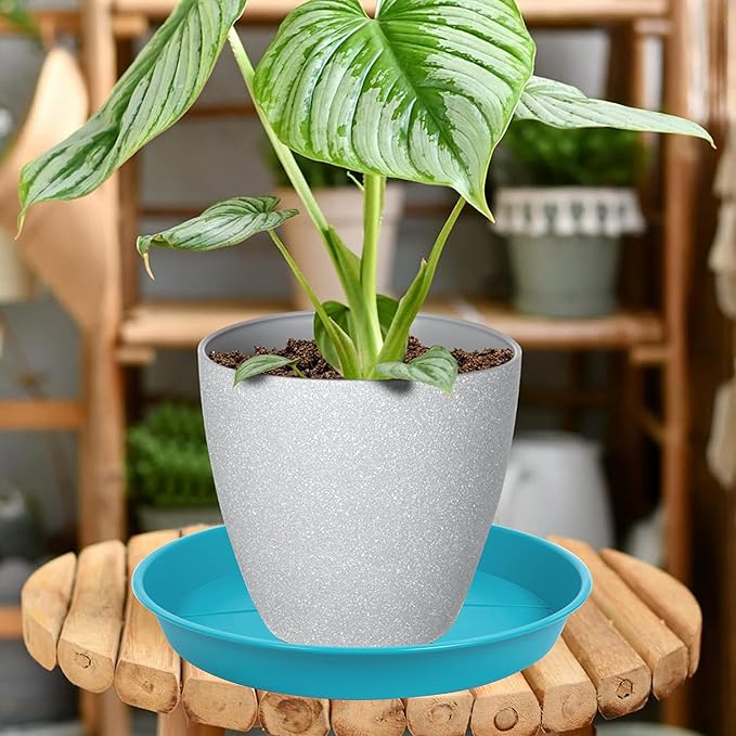 6 Pack of Plant Saucer Tray 11 12 inch, Heavy Duty Plastic Pot Plant Drip Trays Saucers for for Indoors Outdoor, Plant Water Tray for Planters 11-12" (12", Light Blue)
