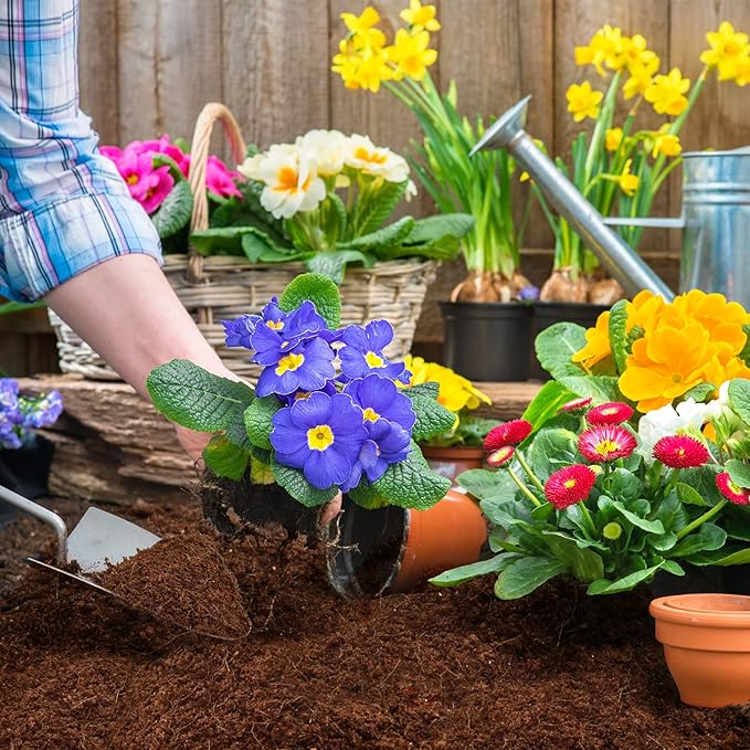 ZeeDix 100 Pcs (30mm) Compressed Coco Coir Fiber Potting Soil- Coir Medium, Coconut Soil for Indoors or Outdoors, Bonsai, Herbs, Plants, Flowers and Vegetables
