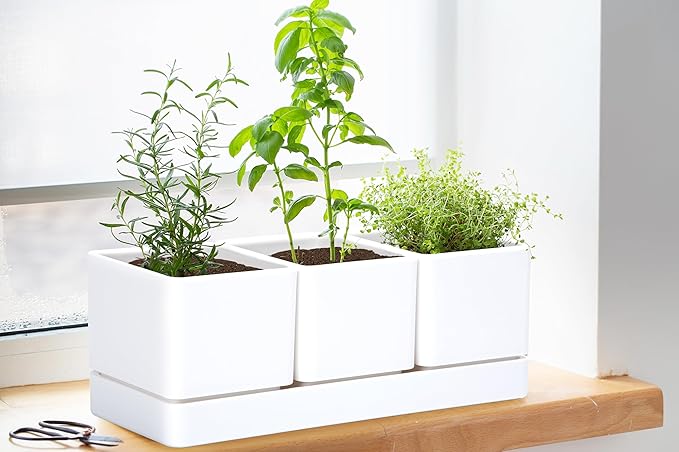 D'vine Dev Herb Garden Planter Set, Plastic Plant Pots with Drainage and Saucer, Indoor Succulent Cactus Vegetable Pot for Windowsill, Garden Balcony, White, Set of 1, 76-V-A-1