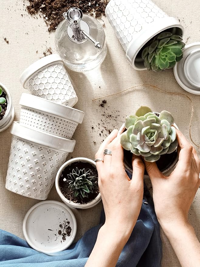 LE TAUCI Succulent Pots, Cute Indoor Plant Pot with Saucer, 3 Inch Mini Ceramic Flower Pots with Drainage, for Plant Lover or Mothers Day,Housewarming, Decorative Lovely Planter for Cactus,Set of 4