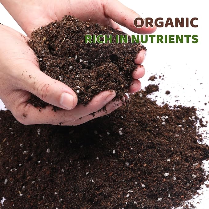 Premium Lucky bamboo Soil Mix 4qt, Indoor Plants Potting Mix for All Potted Luncky bamboo, Promote Healthy Growth and Longevity