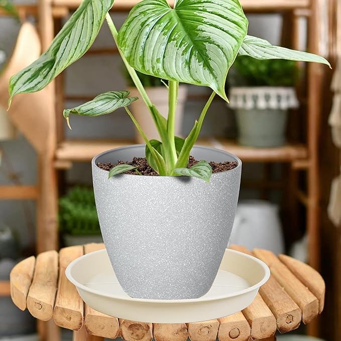 6 Pack of Plant Saucer Tray 7 8 inch, Heavy Duty Plastic Pot Plant Drip Trays Saucers for for Indoors Outdoor, Plant Water Tray for Planters 7-9" (8", Beige)