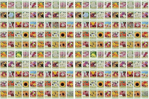 Black Duck Brand Set of 200 Flower Seed Packets! Flower Seeds in Bulk - Best Value Seeds - Great for Classrooms, Beginner Gardeners and Kids! - Deluxe Varieties! (200)