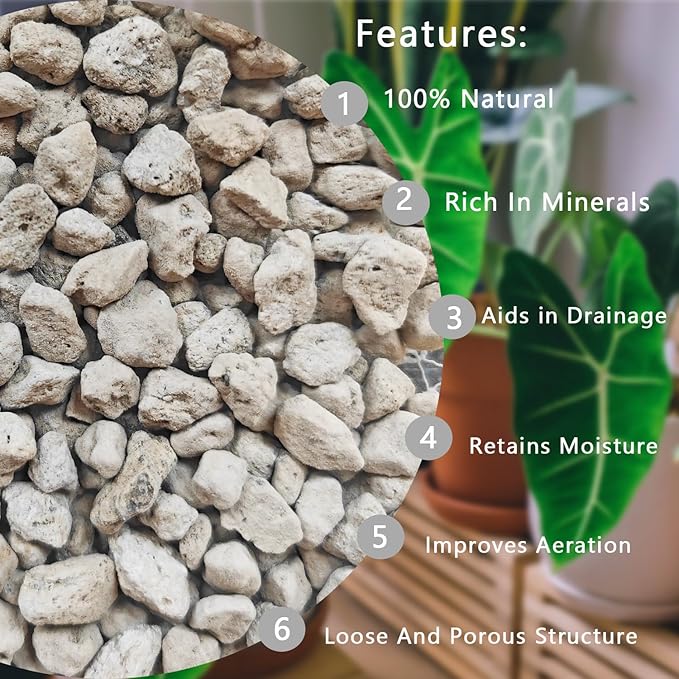 Horticultural Pumice for Plants 10QT, Natural Organic Pumice Stones for Succulent Cactus Bonsai Tree Orchid Potting Mixed, Improves Soil Aeration and Drainage, Promotes Root