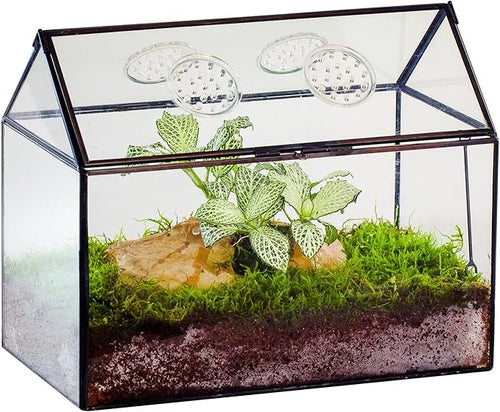 NCYP Glass Terrarium with Lid and Air Holes for Snails, Succulents Plants, Small Cactus - 10.2" x 5.9" x 8.2" House Shape Geometric Clear Box, Indoor Tabletop Decor Black (Terrarium Only)
