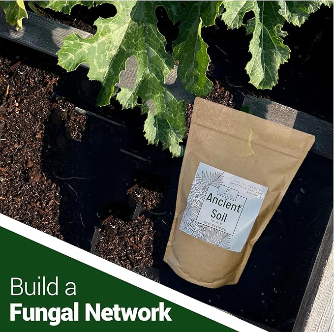 Elm Dirt Premium Ancient Soil for All Plants - Organic Plant Soil for Outdoor Plants & Indoor Plant Soil | Garden Soil for Plant Nutrients Growth & Protect your Plants Bugs - Roots Organic Soil, 10lbs
