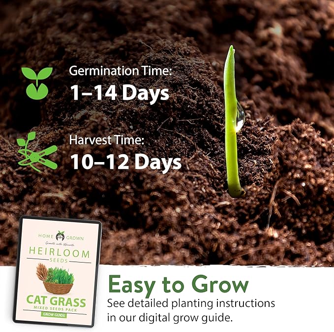 HOME GROWN 3200+ Cat Grass β π‘π’π‘-ππ π’ π¨π¦π Grown Catnip, Alfalfa, Oat, Cat Grass Mix β Indoor Cat Grass Kit Refill β High-Germination Pet Grass for Hairball Relief & Digestion