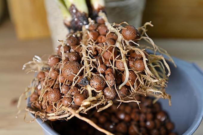 D'vine Dev Ceramic Planter Filler Balls 3qt, Expanded Porous Clay Pebbles Beads for Hydroponic, Gardening, Orchids, 97-F-1