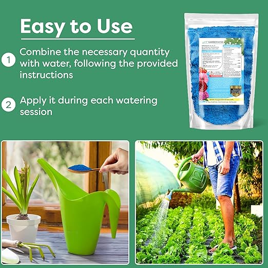 20-20-20 Water-Soluble Fertilizer β Powder for Liquid Plant Food for Indoor & Outdoor Plants, Orchids, Vegetables, Lawns, Flowers β 20 20 20 Fertilizer (3 QUARTS)