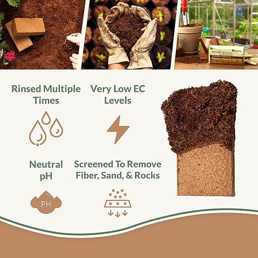 Coco Coir 650gm Bricks (5-Pack) + Neem Bliss (5lbs) - OMRI-Listed Coco Coir & Neem Seed Meal Fertilizer for Plants - All Natural Neem Cake Fertilizer - Organic Coco Coir for Plants, Herbs, Gardening