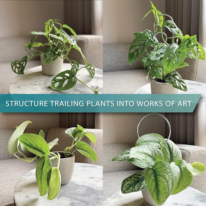 Small Metal Trellis for Indoor Plants Metal Plant Stake for Climbing House Plants Plant Support for Potted Plants Orchids, Monstera, Pothos, Ivy, Hoya, Philodendron Set of 4 (Brushed Gold)
