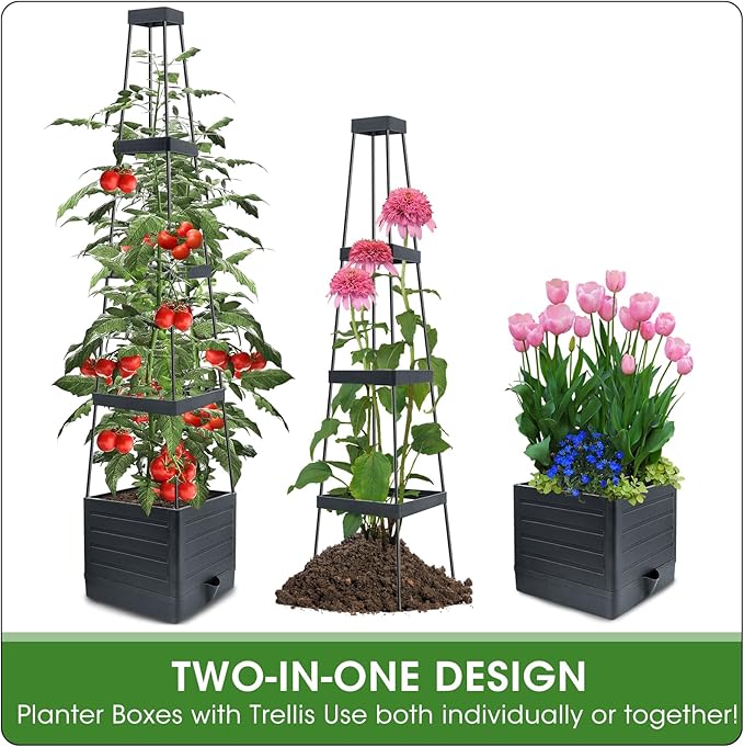 MQFORU 2 Packs Raised Garden Bed Tomato Planter with Trellis, 57" Tomato Cages for Climbing Vegetables Plant, Self Watering Planters Box for Garden Pots for Patio Greenhouse Indoor Outdoor(2PCS)