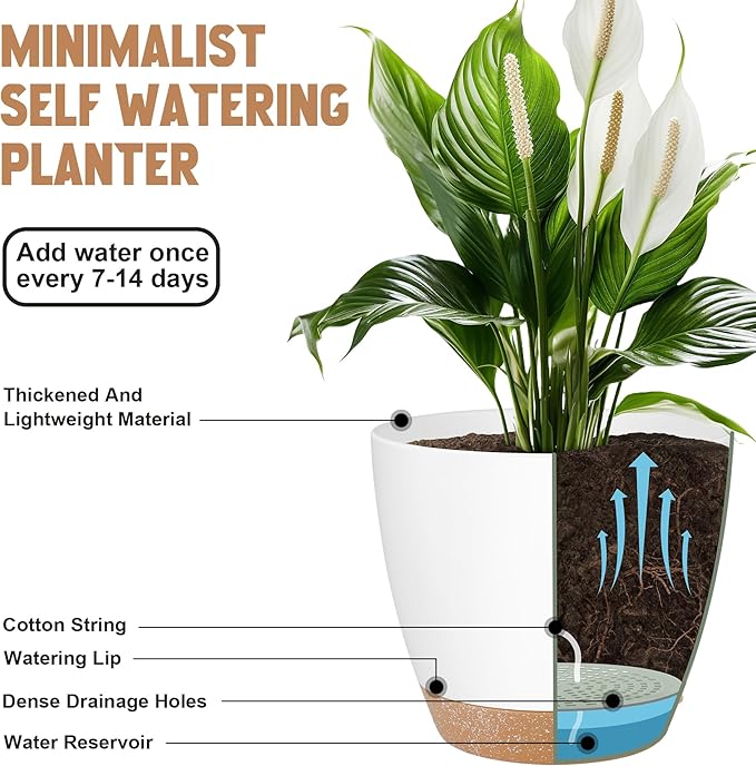 Plant Pots 8/7/6.5/6/5.5/5 Inch Self Watering Pots, Set of 6 Plastic Planters with Drainage Holes and Saucers,Plastic Flower Pots,Nursery Planting Pot for Indoor Out Door Plants(White)