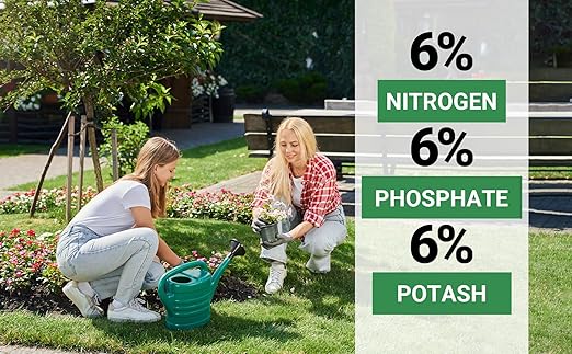 6-6-6 All-Purpose Professional Plant Food Fertilizer; Ideal for Winter Care & Spring Feeding, Perfect Balanced NPK for Indoor and Outdoor Plants (4 QUARTS)