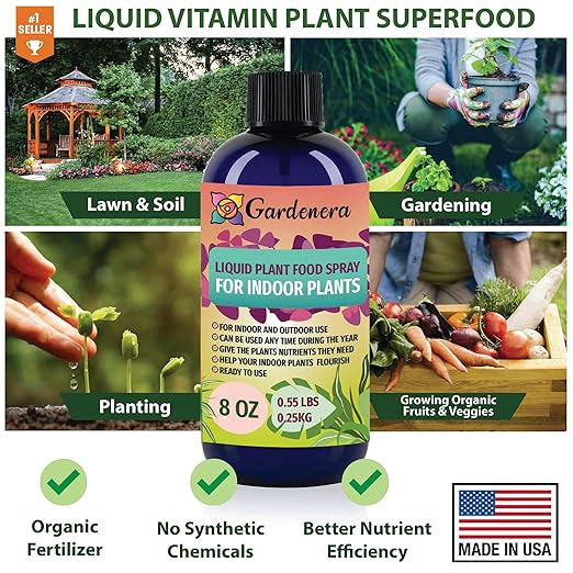 Plant Growth Superfood for Succulents & Cactus with 18 Vitamins & Minerals - Organic Plant Food Fertilizer - Micro-Fungi and Bio-Organisms for Cactus Plant Care & Growth Enhancement - 8oz